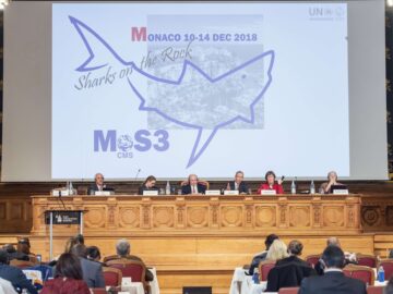 Clôture de la 3ème réunion des Signataires du Mémorandum d’Entente sur la conservation des requins migrateurs
