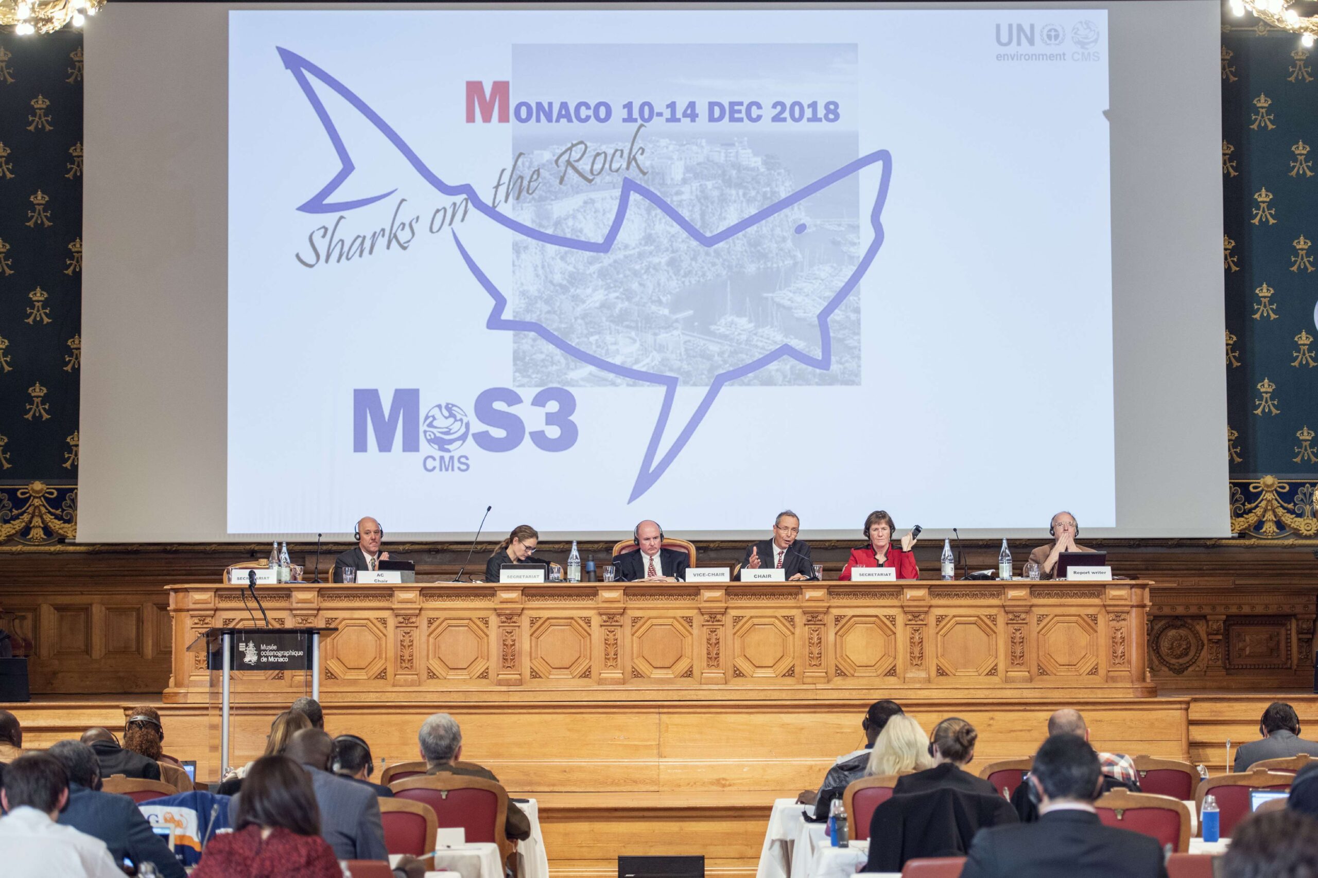 Cl&ocirc;ture MOS3 Requins. Michel Dagnino