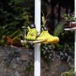 Empreintes de plantes, workshop tout public à la Villa Paloma