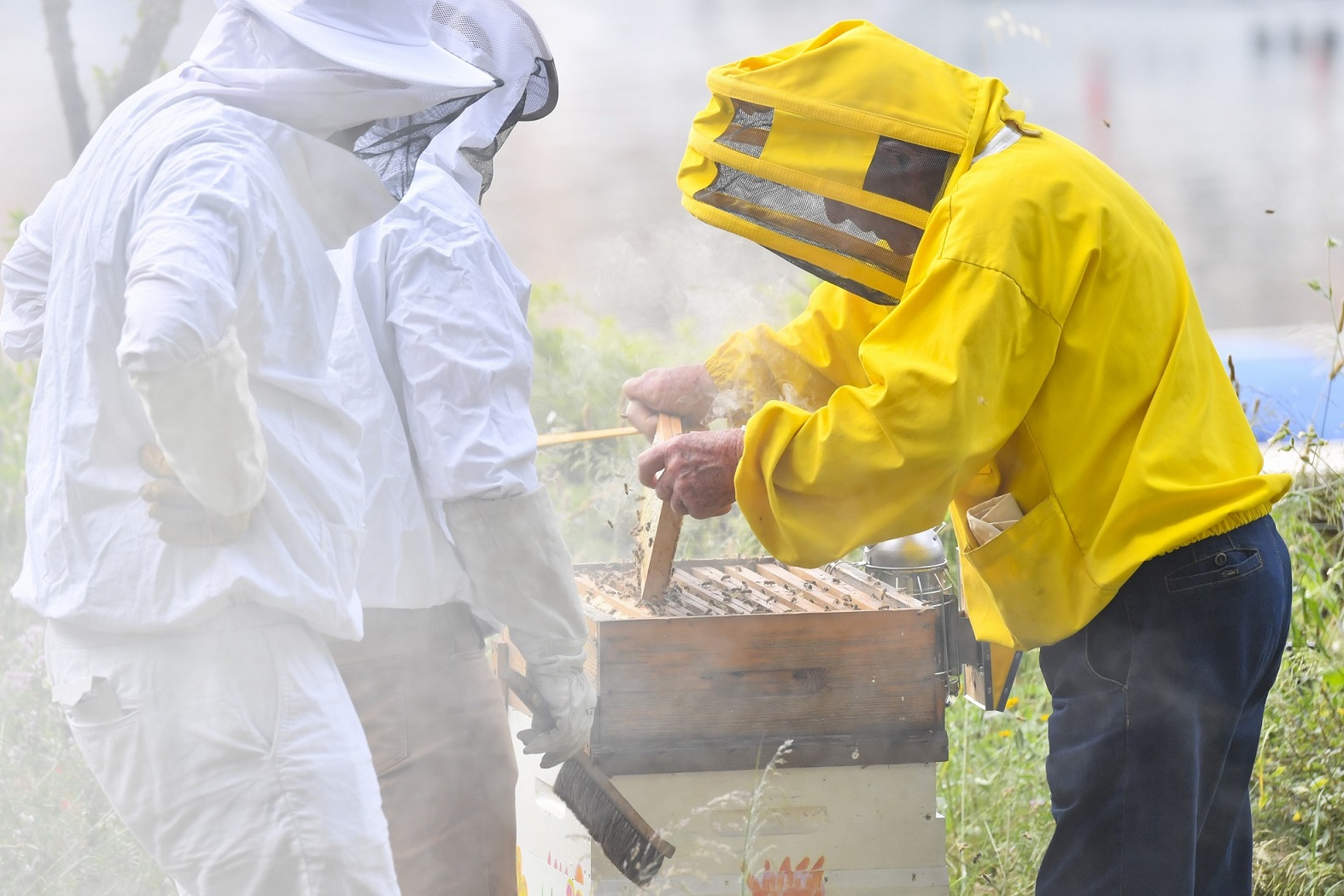 Apidays 2Direction de la communication Manuel Vitali