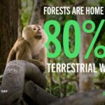 Monaco s’associe à la Journée mondiale de la vie sauvage des Nations Unies