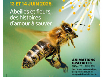 APIdays 2025 : Journées nationales de l&rsquo;abeille, sentinelle de l’environnement