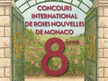 8ème Concours International de Roses Nouvelles de Monaco : votez pour votre rosier préféré !
