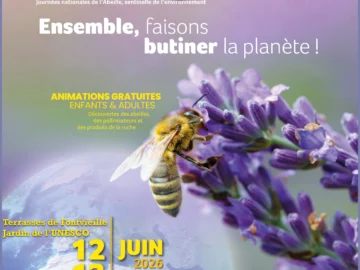 APIdays « Journées nationales de l&rsquo;abeille, sentinelle de l’environnement »